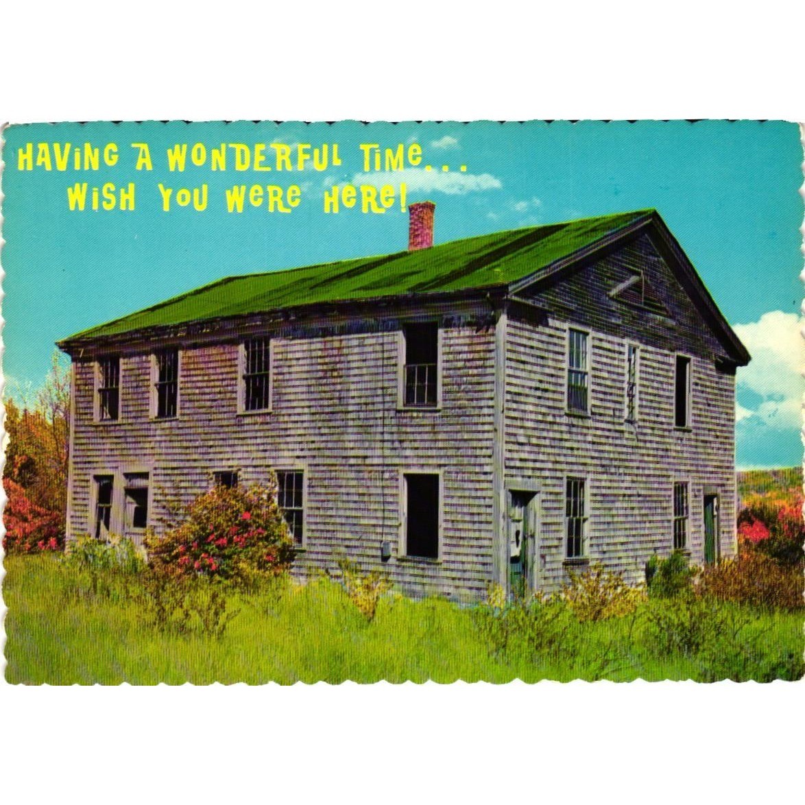 Vintage Dexter Supreme Breezy Motel Humor Postcard Wish You Were Here Kitsch NY