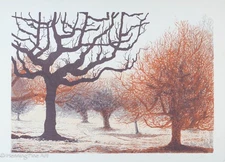 Rare Vintage Lithograph by Campione, Impressionist Wooded Landscape, Signed 3