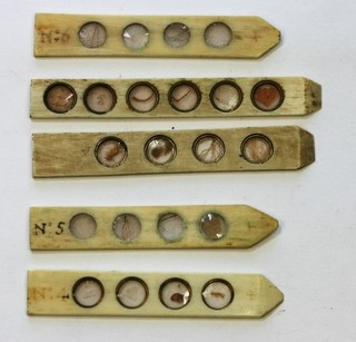 5 x ANTIQUE MICROSCOPE SLIDE LARGEST 8 cms. LONG GOOS COND.