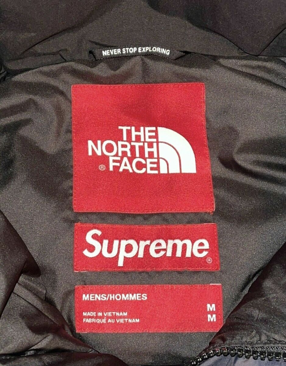 DS! SUPREME THE NORTH FACE STATUE OF LIBERTY BALTORO JACKET BLACK M FW19 TNF