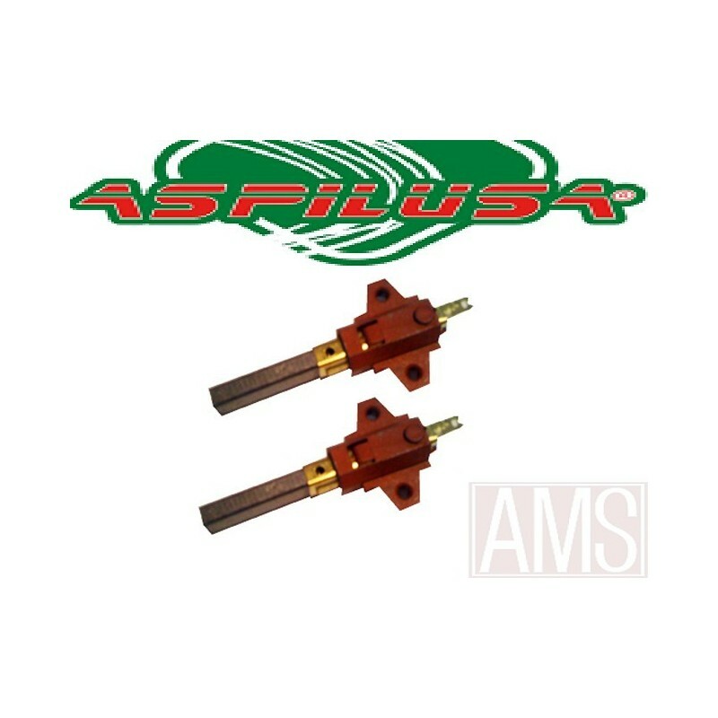 Charbons IZZY 300/400/550 Aspilusa pour restaurer la force d'aspiration