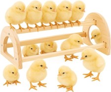 Chicken Roosting Perch Bar - Large Pine Wood with Mirror, Outdoor Use, Easy Inst