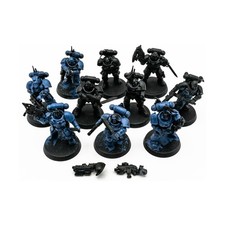 Primaris Reivers 49 NM