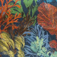 26733 - Tropische Schwankend Koralle Flora Blaubeere Hohenberger Tapete