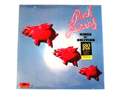 P-MODEL/In A Model Room K10017W Used LP | eBay