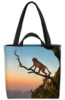 Pavian Affe Afrika Landschaft Tasche Dschungel Urwald Tiere Zoo ÄFfchen Safari