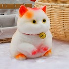 Foto 14 di 17
