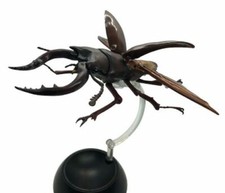 Bandai Gashapon Action Figure Stag Beetle 01 14cm Prosopocoilus inclinatus Black