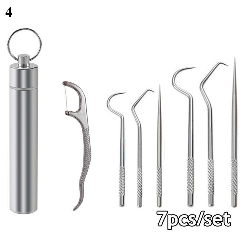 37PCS Stainless Steel Toothpick Kit Metal Flossing Tools Portable Holder Case eBay