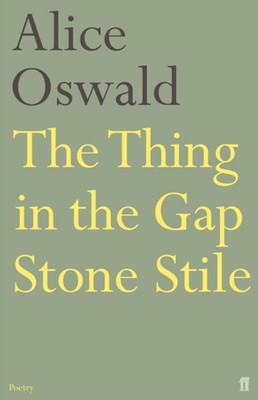 THING IN THE GAP STONE STILE by Alice Oswald Paperback Self Help Business