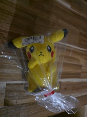 Pikachu Mania! Plush - Various Pikachu - Worried Face Pokemon