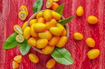 2 Lb. California Organic Fresh Kumquats   Picked Daily   Fast Shipping