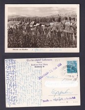 Ansichtskarte Schierke am Brocken