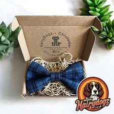 Handmade Dog Bow Tie With Collar Attachment Blue Tartan Medium