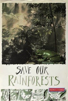 664288 Save Our Rainforests Photo Wall Print Poster