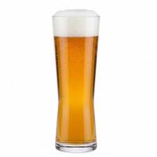 Bierglas 0,5L   2 x  Kunststoff Premium  Mehrweg Premium Goa&szlig; Weizenbier