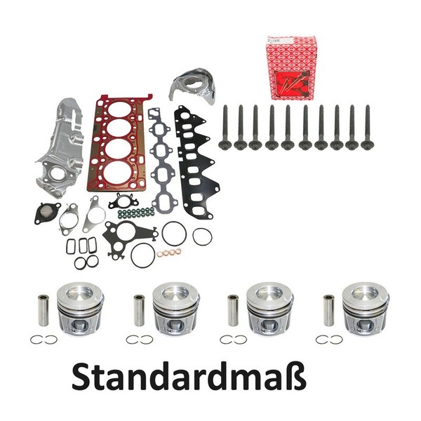 Dichtungssatz +Schrauben+Kolben STD FüR Opel Renault Nissan 1.6 D Dci R9M-image