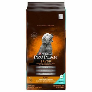 purina pro plan focus puppy 34 lb