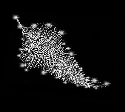 APFELBLÜTE STYLE & ACCESSOIRES XL 30 x 15 ADORNO DE PEDRERÍA PLUMA IMAGEN PARA PLANCHAR APLICACIÓN HOTFIX PEDRERÍA grande