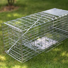 Humane Squirrel Trap Rabbit STEEL INDOOR OUTDOOR Large Cage Rat Catcher POISON  