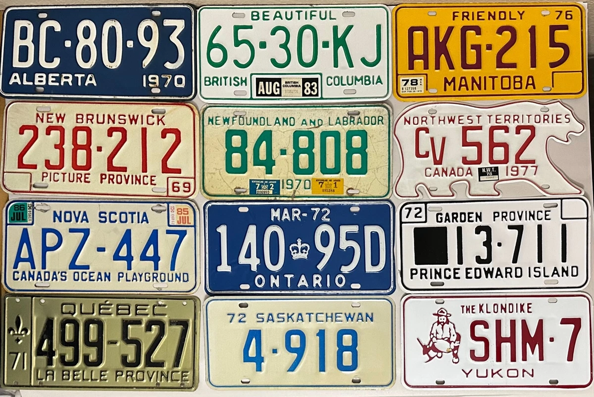 License tag deals