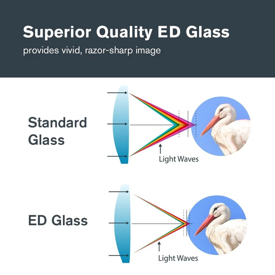 – Nature DX ED 8x42 Premium Binoculars – Extra-Low Dispersion Objective Lense... - Image 3 of 4