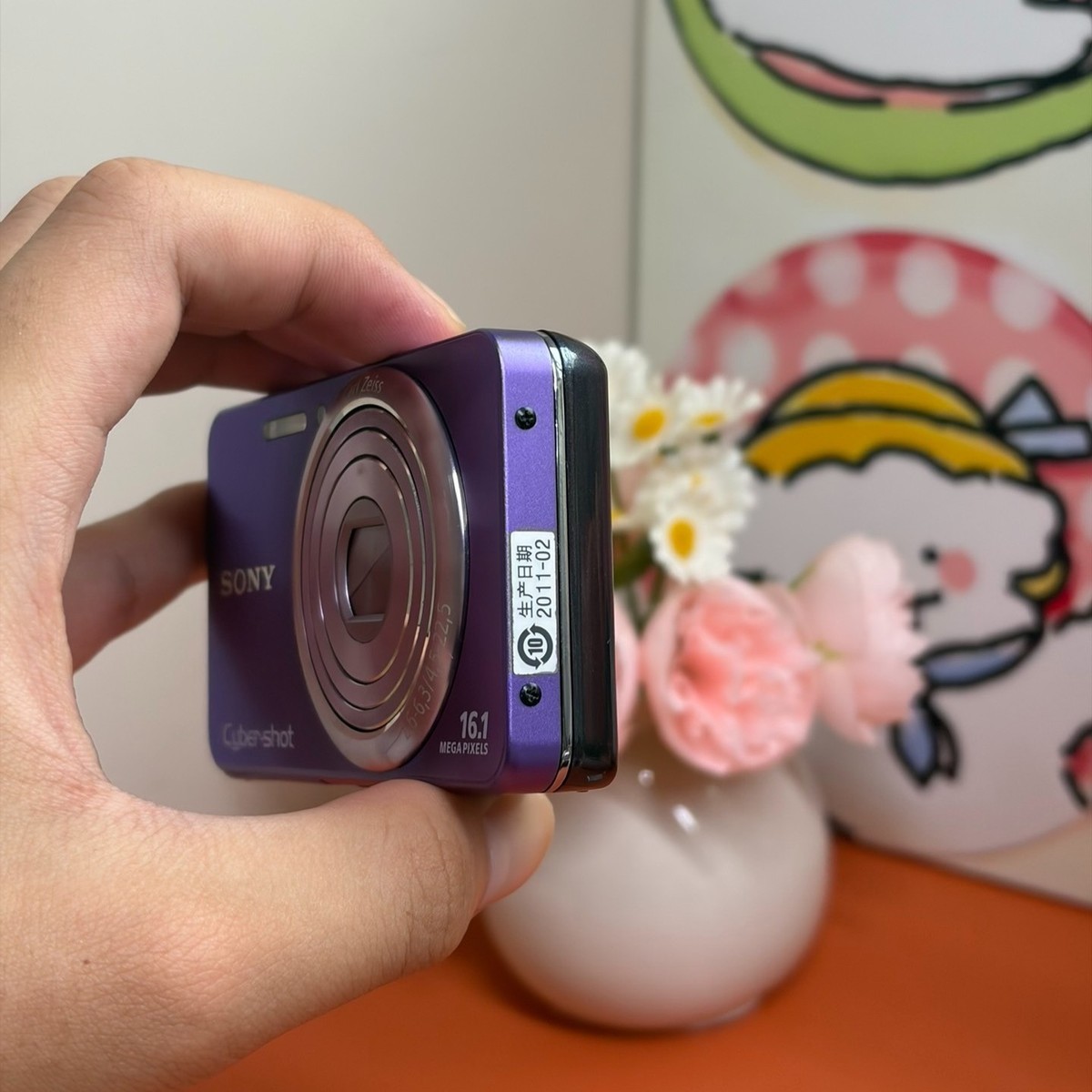 SONY Cyber-shot DSC-W570 16.1MP 5x Optical Zoom Digital Camera