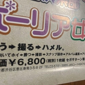 Album Club Saintpaulia Jogakuin poster Sega Saturn #4f3d24