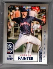 2025 LEHIGH VALLEY IRONPIGS #2 TEAM SET  36 CARDS