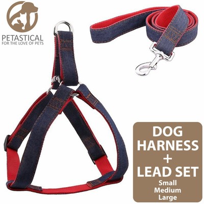 custom size dog harness