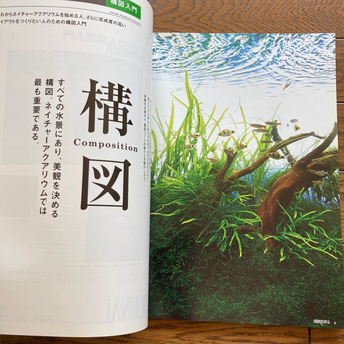 AJ aqua journal ADA アクアジャーナルvol.1〜39 14× AJ Aqua Journal ADA Aqua Design Amano Nature Aquarium