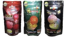 Okiko Cichlid Flowerhorn Fish Food Head Up Hunch Platinum Set L Pellet 3 x 100g