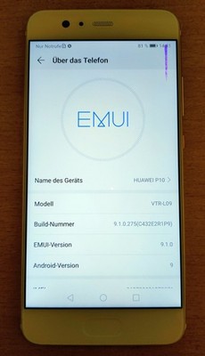 Huawei P10 64GB Weiß Silber, Kleiner Pixelfehler, EMUI 9.1 Android Smartphone 