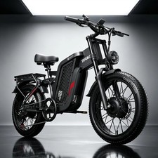 250W 52V 24AH Dual-Batter MTB E-Bike 20 Zoll Elektrisches Mountainbike 30 …