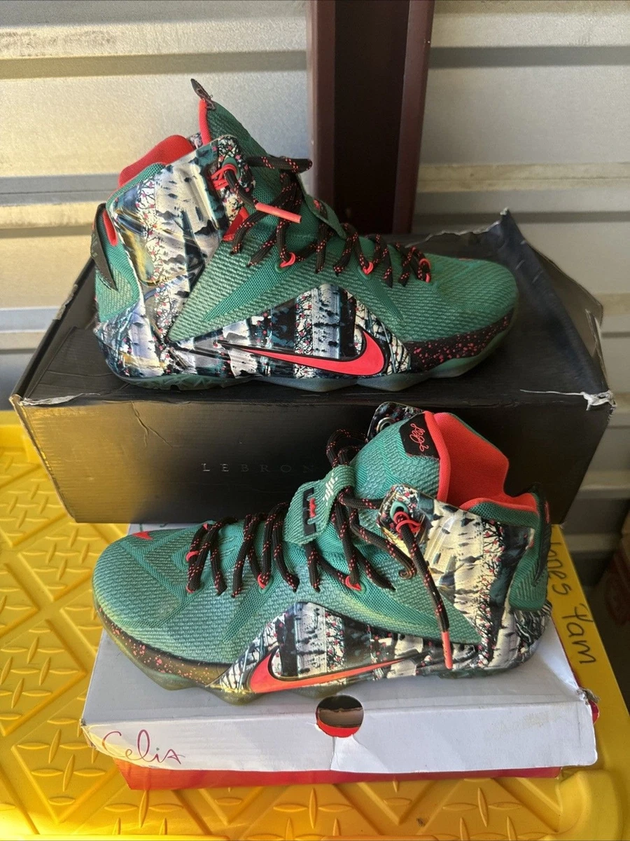 Nike LeBron 12 Xmas Akron Birch for Sale | Authenticity Guaranteed