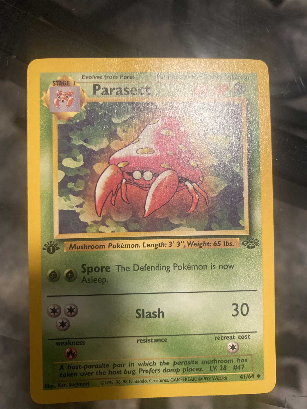 1st Edition Parasect 41/64 - Jungle - Near Mint