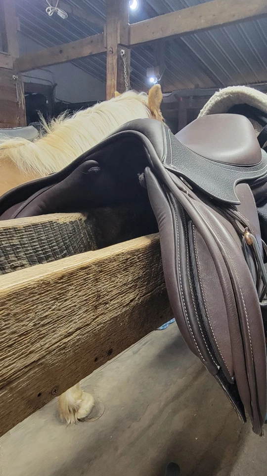 Ovation Explorer AP saddle 17 inch with interchangeable gullet - Image 4 of 4