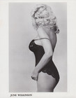 1982 Press Photo Leggy Playboy Magazine Model June Wilkinson wearing Lingerie — photo 1