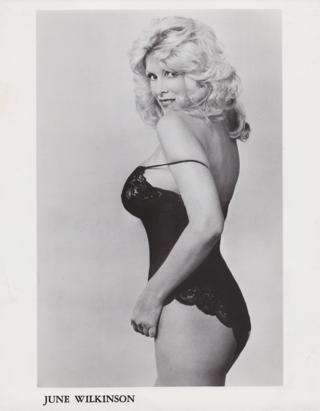 1982 Press Photo Leggy Playboy Magazine Model June Wilkinson wearing Lingerie