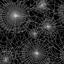 Spider Webs 21 - 18"x46" Hydrographic Film Hydro Dipping
