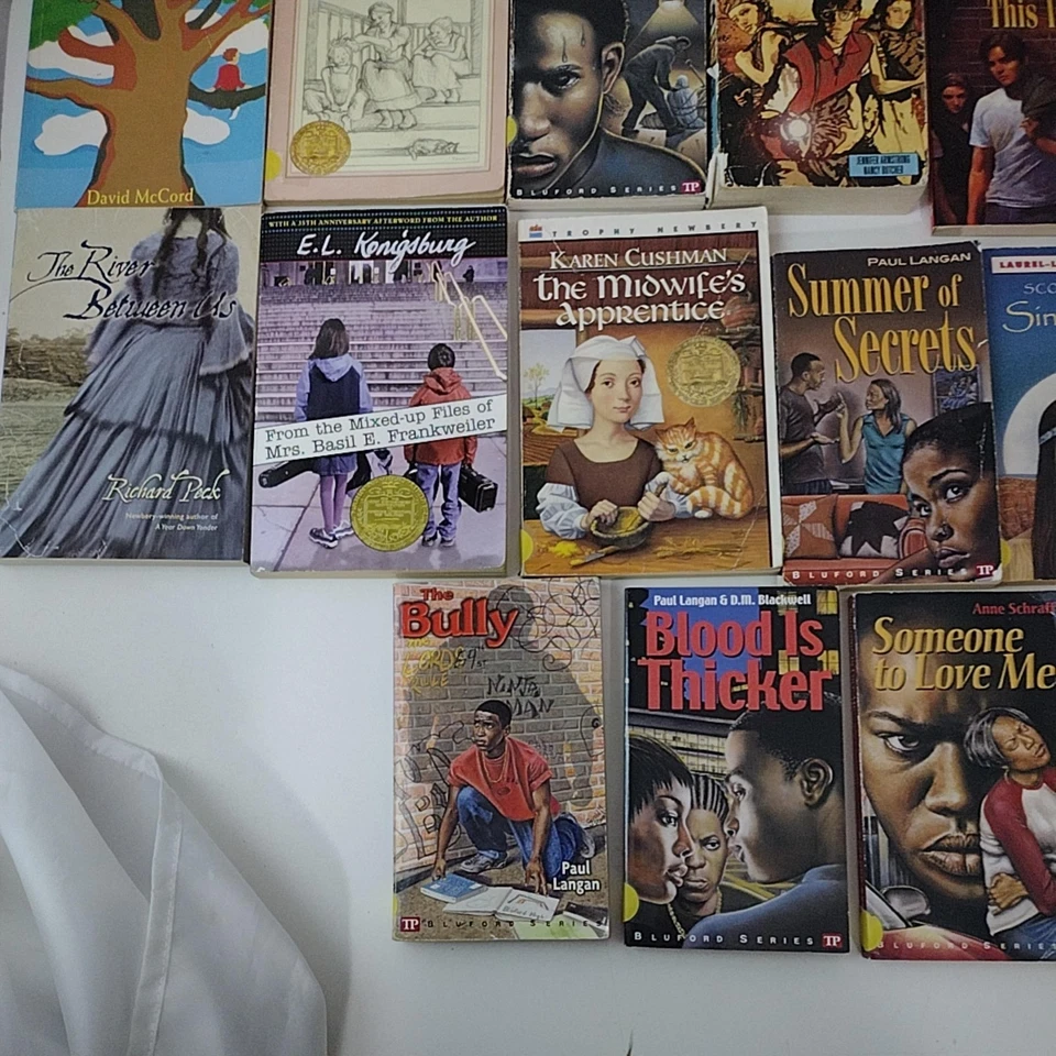 Lot of 21 Young Adult Books Paperbacks Bluford Series Hinton Paulsen Konigsburg - Image 4 of 4