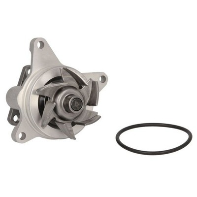 Wasserpumpe SKF VKPC 84622