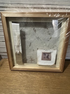 Pier 1 Imports Holz Schattenkasten Rahmen Neu Versiegelt Erinnerung Andenken Display 25cm