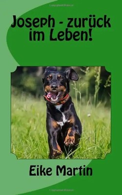 Joseph - zurück im Leben! - Martin, Eike