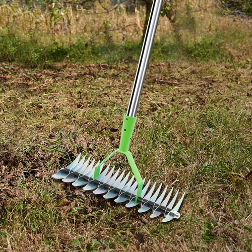 Thatch Rake Head 21 Tines Alloy Steel Dual-Sided Lawn Dethatcher Grass Grooming