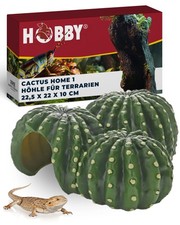 Terraristik Cactus Home 1 I Dekorative Versteckh&ouml;hle I 22,5 &times; 22 &times; 10 cm gr&uuml;n