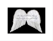 Wee Blue Coo An Angel In The House Wings Quote Motivation Typography Framed Wall