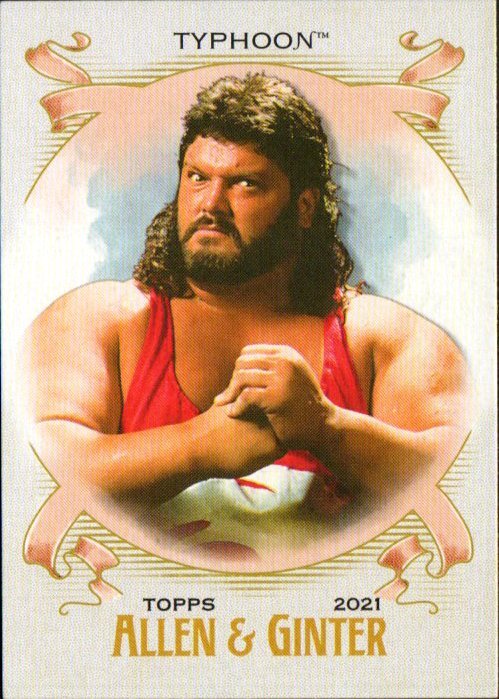 2021 Topps Heritage WWE - Allen & Ginter Insert #AG-22 Typhoon