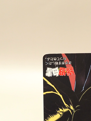 Karasu Yu Yu Hakusho Carddas Card No. 119 TCG 1993 Japanese L835