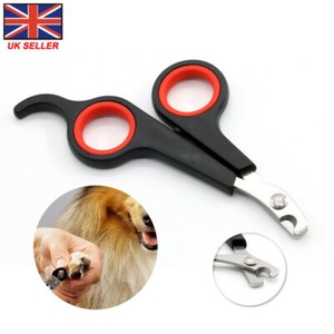 guinea pig nail trimmers